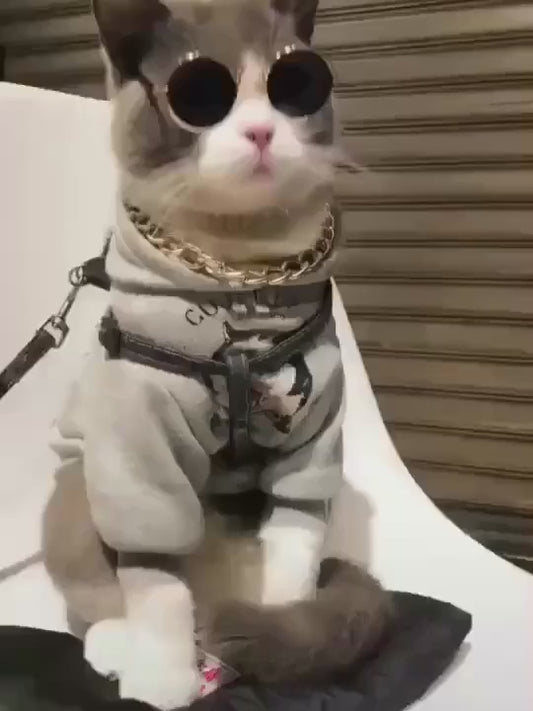 Cat Sunglasses Summer Outdoor Puppy UV Protection Sunglasses Dolls Sun Glasses Small Dog Cosplay Photo Props Cute Pet Sunglasses