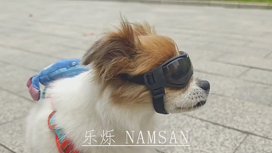 Pet UV Protective Goggles for Dogs Cat Sunglasses Cool Protection Eyewear for Small Medium Dogs Outdoor Riding Pets Accessorie