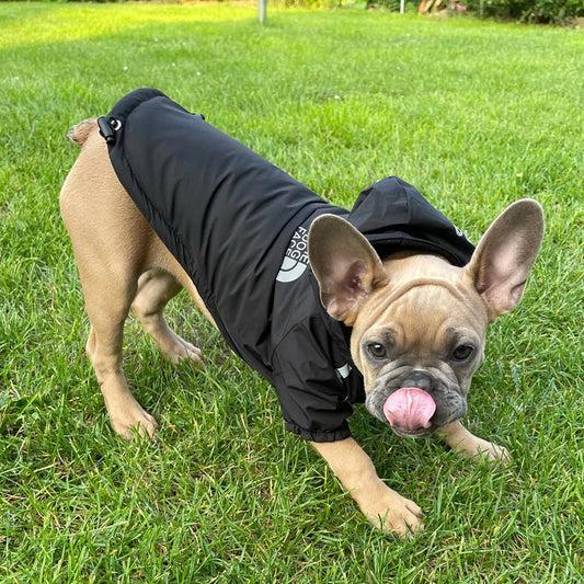 Stay Cozy in Style: Autumn Winter Waterproof Warm Coat with Cotton Hood and Reflective Features for Small Dogs and Cats